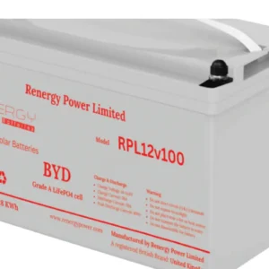 rpl12v100 lithium battery